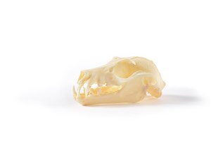 Image description is not available for 2015.4.17